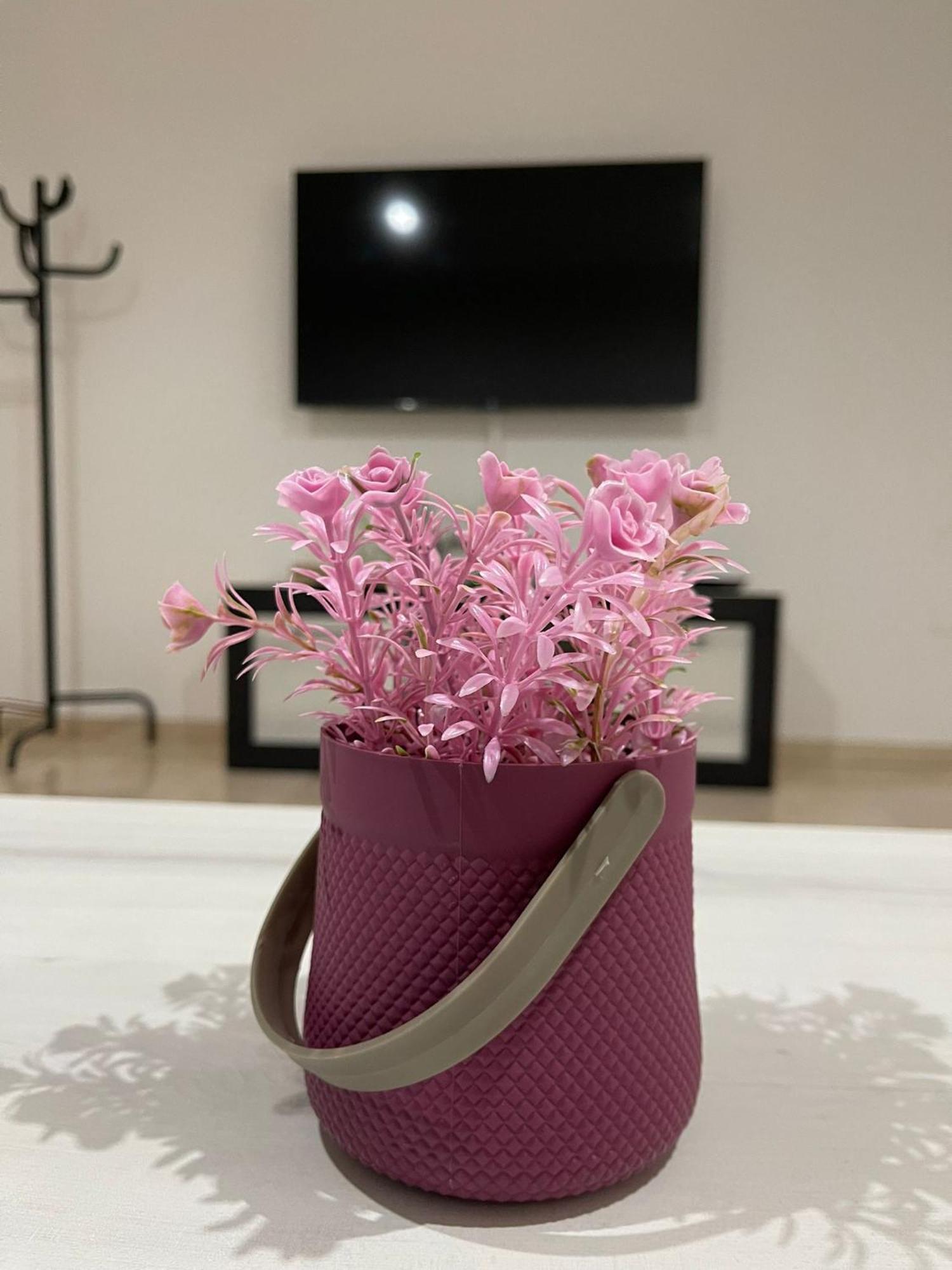 Apartamentos Cayla Санлукар-де-Баррамеда Экстерьер фото